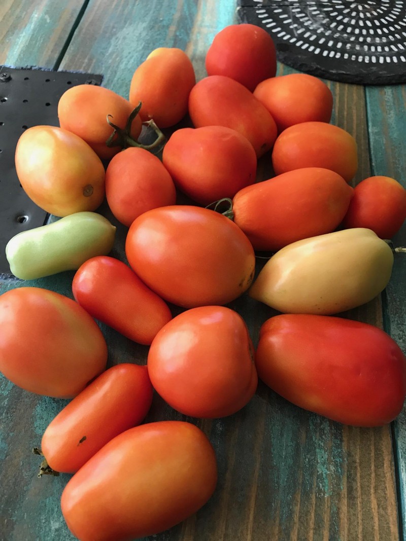 Làm vườn trong phố: Câu chuyện của một cặp vợ chồng tại nước Mỹ lam vuon trong pho cau chuyen cua mot cap vo chong tai nuoc my