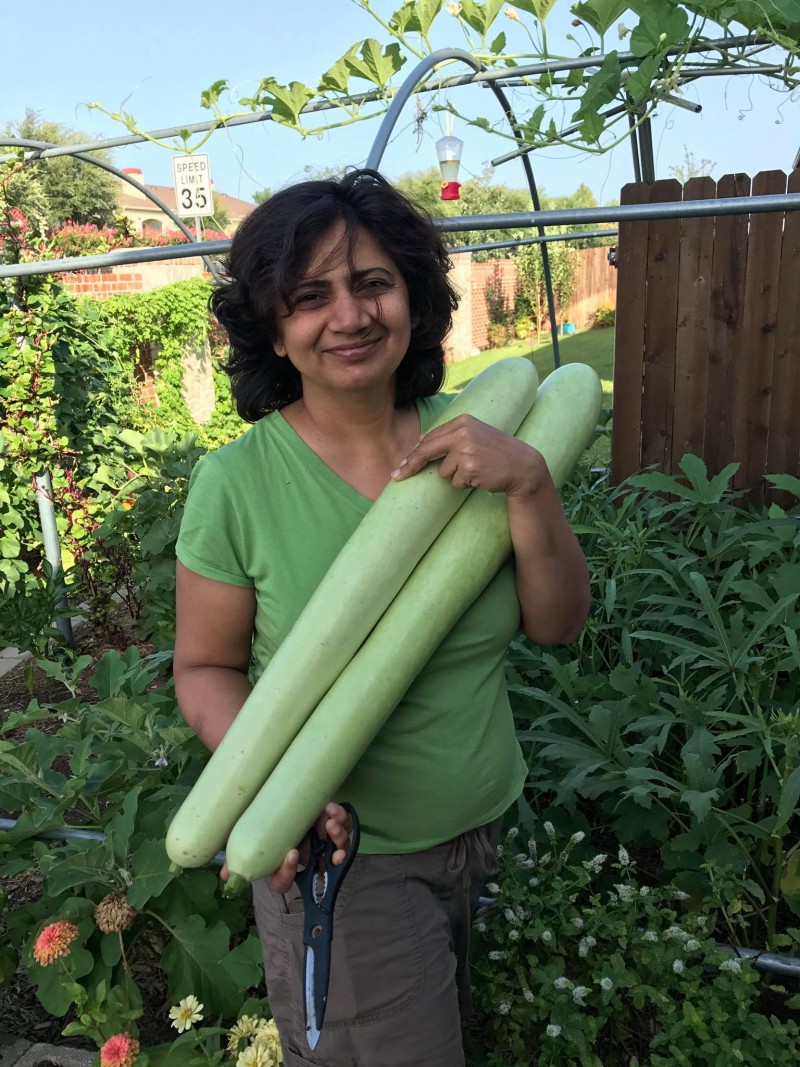 Làm vườn trong phố: Câu chuyện của một cặp vợ chồng tại nước Mỹ lam vuon trong pho cau chuyen cua mot cap vo chong tai nuoc my