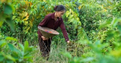 ‘Ẩm thực mẹ làm’ đại diện Việt Nam tham dự sự kiện lớn nhất năm 2020 của Youtube