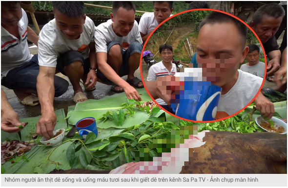 Ảnh chụp màn hình báo Tuổi trẻ. 1043-ayn-tuyoyi-nuoyyt-soyyng-royyi-muyoyyn-danhvayn-hoya-ayym-thuyycyeyy-cayu-view-tuoyyi-trey-onlinek