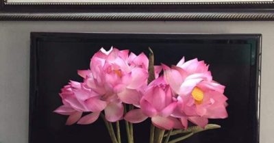 3 món ngon từ hạt sen tươi chuẩn hương vị mùa thu