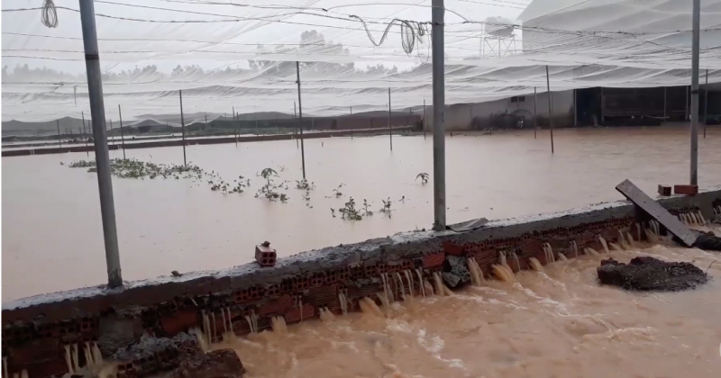 undefined 1116-screen-shot-2020-09-24-at-101050-am