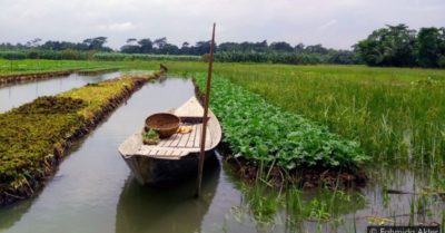 Vườn nổi giúp Bangladesh thích ứng với biến đổi khí hậu