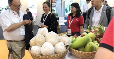 Nông sản Việt xuất khẩu sang EU tăng tới 17% so với tháng 7/2020
