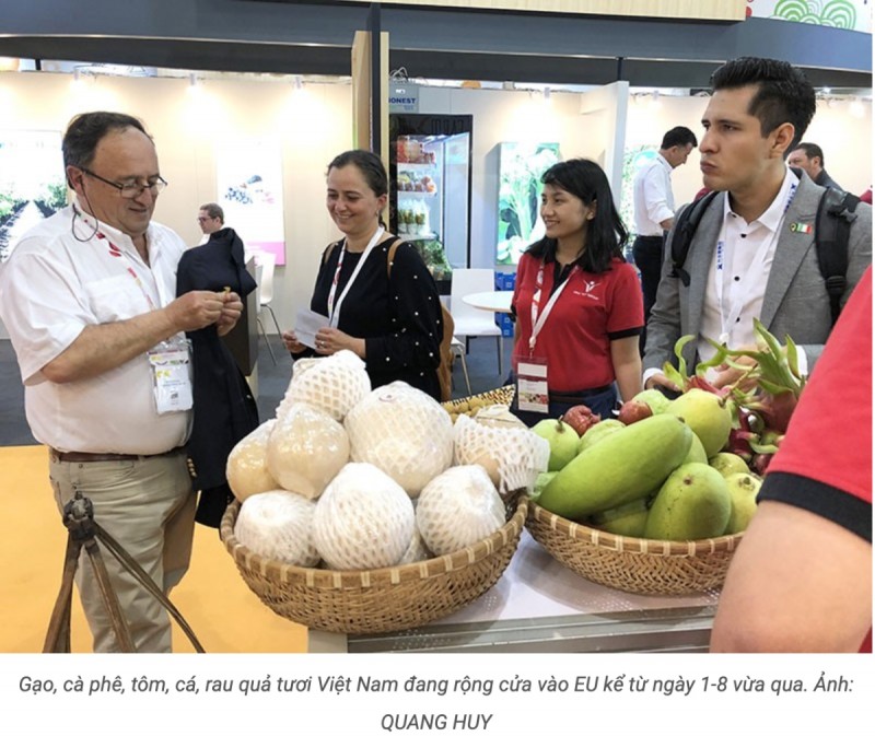 Ảnh chụp từ màn hình hiển thị trên báo Pháp Luật. 1810-aynh-chuyp-mayn-hiynh-2020-09-16-luyc-40242-ch-1