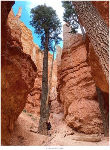 2204-15-buyyc-aynh-khieyyn-bayn-caym-thayyy-nhuy-moyyt-chuy-thiych-tiy-hon7