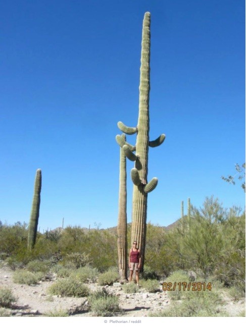 2412-15-buyyc-aynh-khieyyn-bayn-caym-thayyy-nhuy-moyyt-chuy-thiych-tiy-hon9