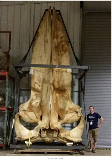 2604-15-buyyc-aynh-khieyyn-bayn-caym-thayyy-nhuy-moyyt-chuy-thiych-tiy-hon11