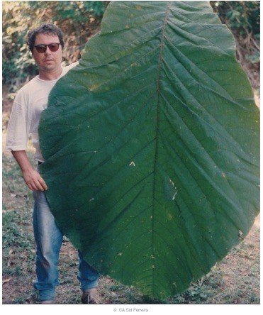 2822-15-buyyc-aynh-khieyyn-bayn-caym-thayyy-nhuy-moyyt-chuy-thiych-tiy-hon14