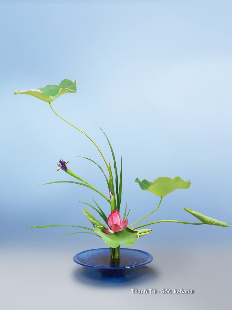 ikebana nghe thuat cam hoa nhat ban giup ban thu gian tam hon