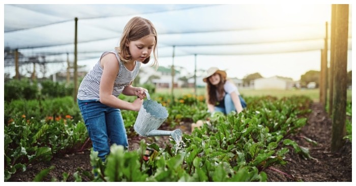 4 kinh nghiệm dạy trẻ tự lập giúp cha mẹ và con cùng tỏa sáng 4 kinh nghiệm dạy trẻ tự lập giúp cha mẹ và con cùng tỏa sáng