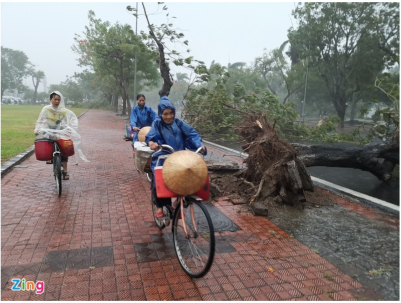 3126-screen-shot-2020-09-18-at-93111-am