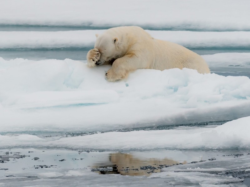 3950-5f5a2b4ae6ff30001d4e7f59-1599801755