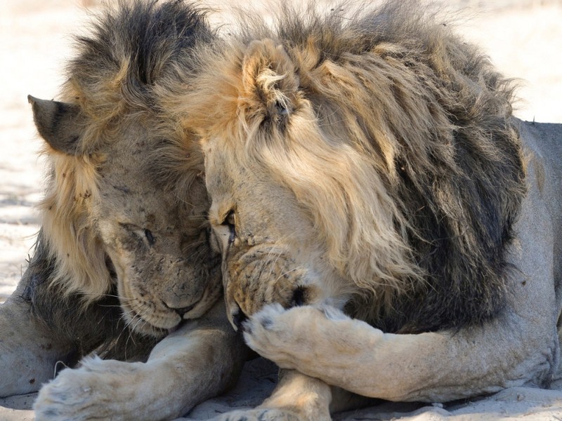 3952-5f5a2b4d7ed0ee001e25e6fc-1599801750