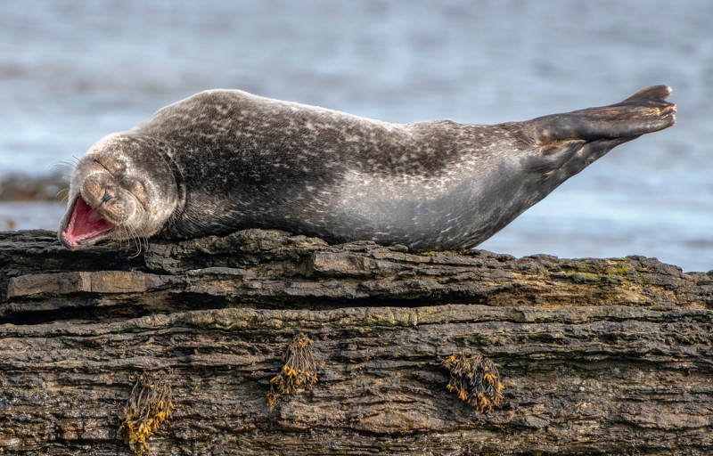 3955-5f5a2b5a7ed0ee001e25e6ff-1599801760