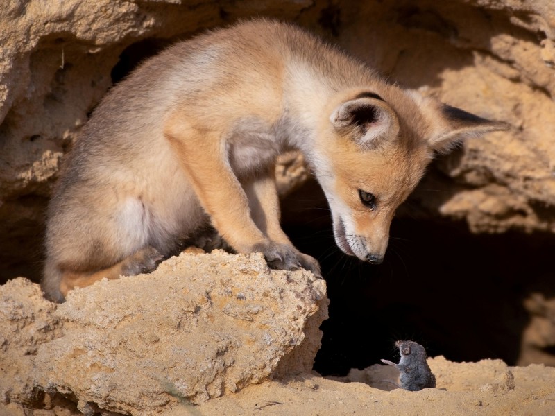 3958-5f5a2b5c7ed0ee001e25e700-1599801798