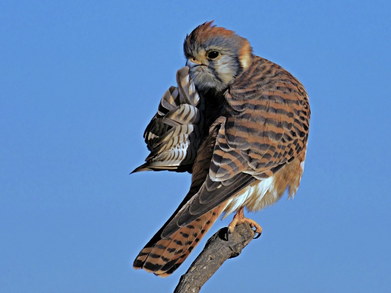 4001-5f5a2b7a7ed0ee001e25e704-1599801781