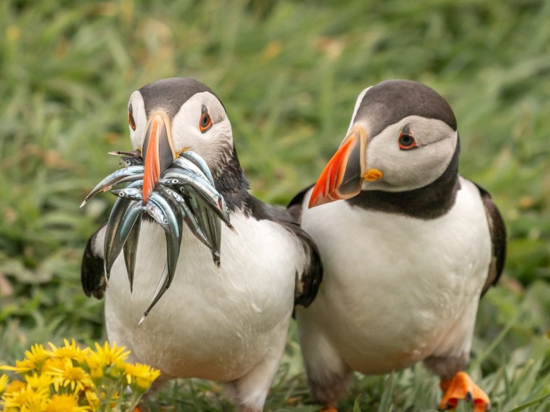 4005-5f5a2b48e6ff30001d4e7f57-1599801771