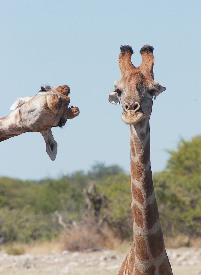 4008-5f5a2b58e6ff30001d4e7f5a-1599801742