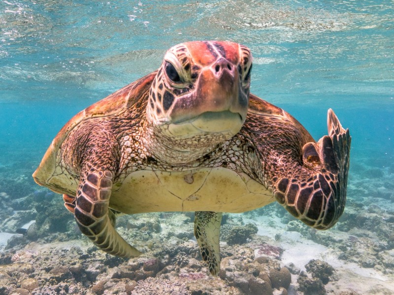 4012-5f5a2b91e6ff30001d4e7f65-1599801786