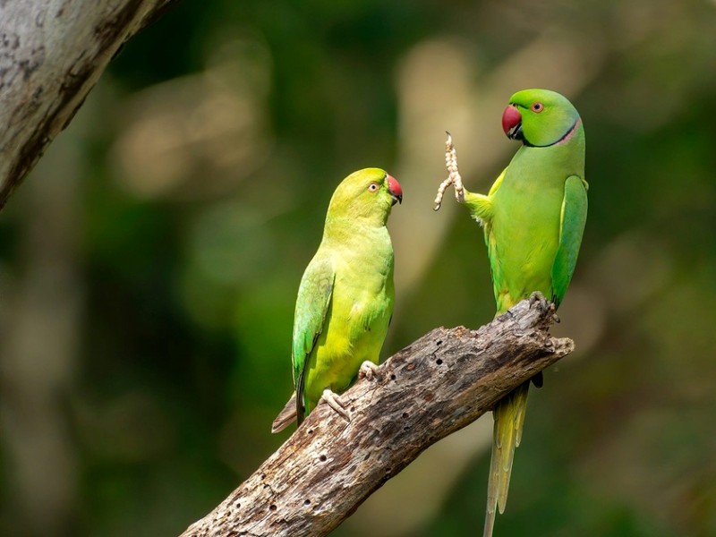 4013-5f5a2b907ed0ee001e25e708-1599801803