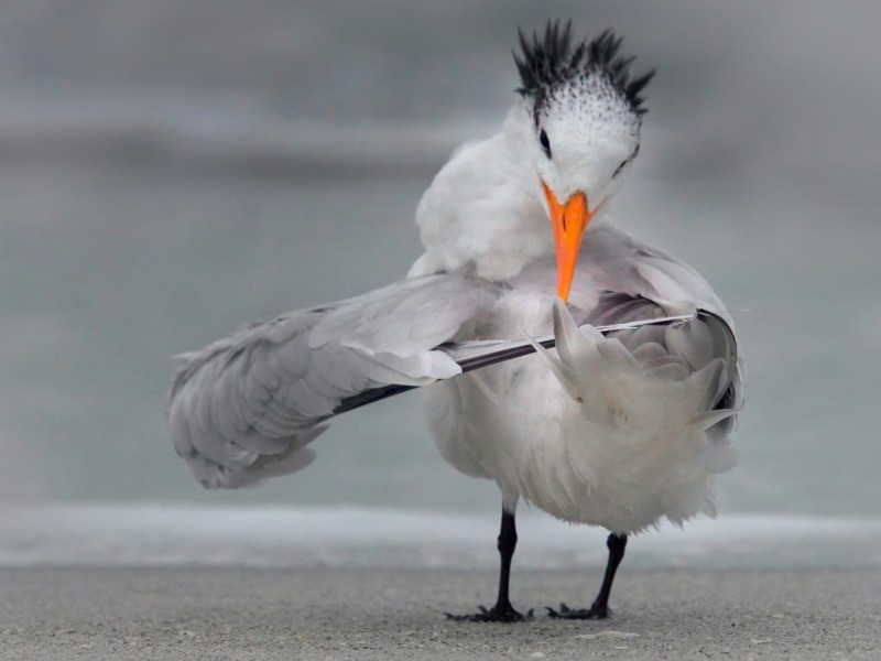 4016-5f5a2db5e6ff30001d4e7f74-1599801778