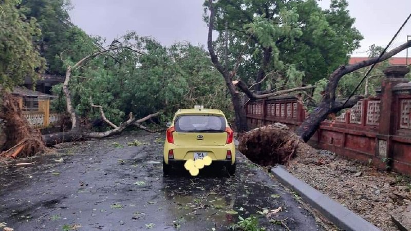 Video bão số 5 quật đổ xe máy người đi đường Video bão số 5 quật đổ xe máy người đi đường