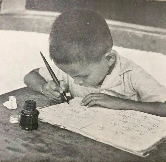 Tôi là một học sinh... không dạy nổi Tôi là một học sinh... không dạy nổi