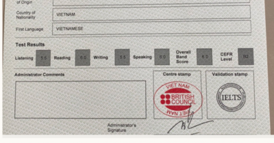 Không được học ĐH Y dược TP. HCM vì chứng chỉ IELTS nằm ngoài thời gian quy định