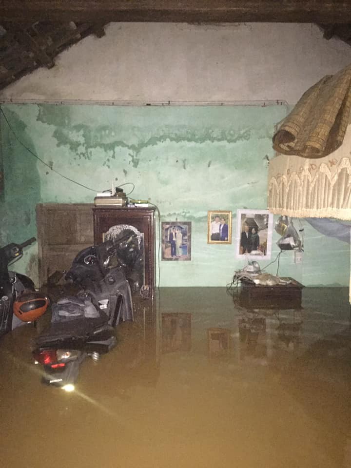 undefined 5325-luyt1