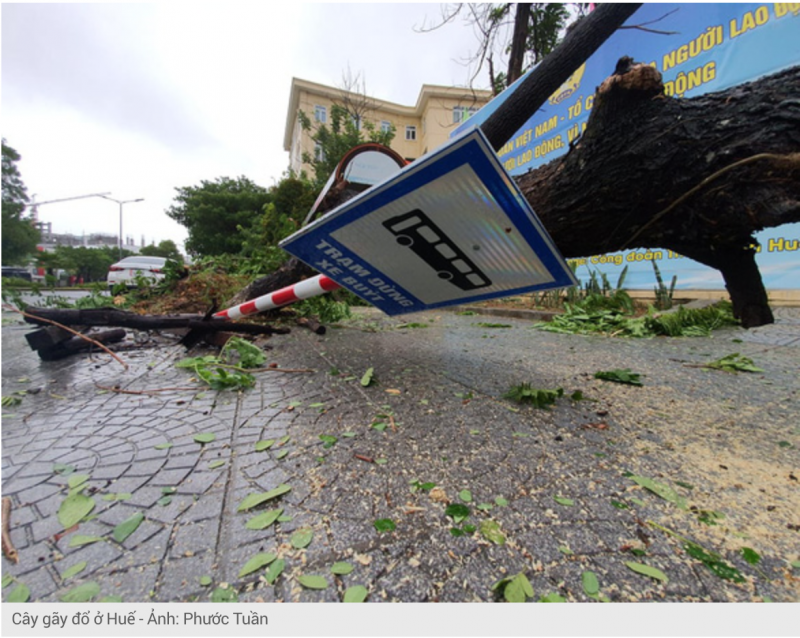 5353-screen-shot-2020-09-18-at-95341-am