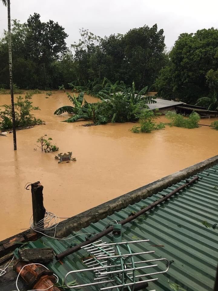 undefined 5609-luyt-3