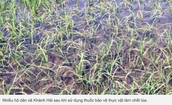 Bắc bộ, Trung bộ nắng nóng đến dịp nghỉ lễ 2/9; Nguy cơ vỡ đê, Cà Mau ban bố tình huống khẩn cấp bac bo trung bo nang nong den dip nghi le 29 nguy co vo de ca mau ban bo tinh huong khan cap