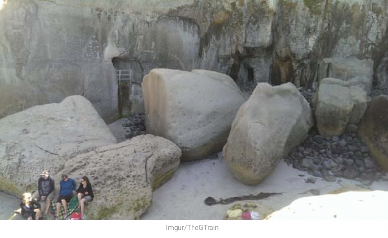 bai bien trinh trang va duong ham phu tu o dunedin new zealand