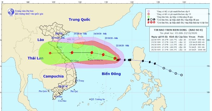 bão số 8