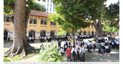 Trường THPT được báo giá 237 triệu đồng để chặt tỉa cây