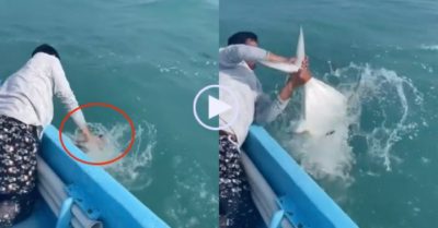 Video: Ngư dân bắt được cá khủng đang bơi bằng tay không