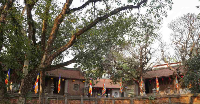 Đền Cao An Phụ