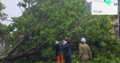 EVNNPC khôi phục điện cho gần 90% khách hàng bị ảnh hưởng bởi bão số 3